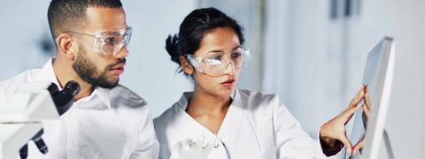 Forschende aus dem Medizinbereich schauen gemeinsam auf deinen Bildschirm